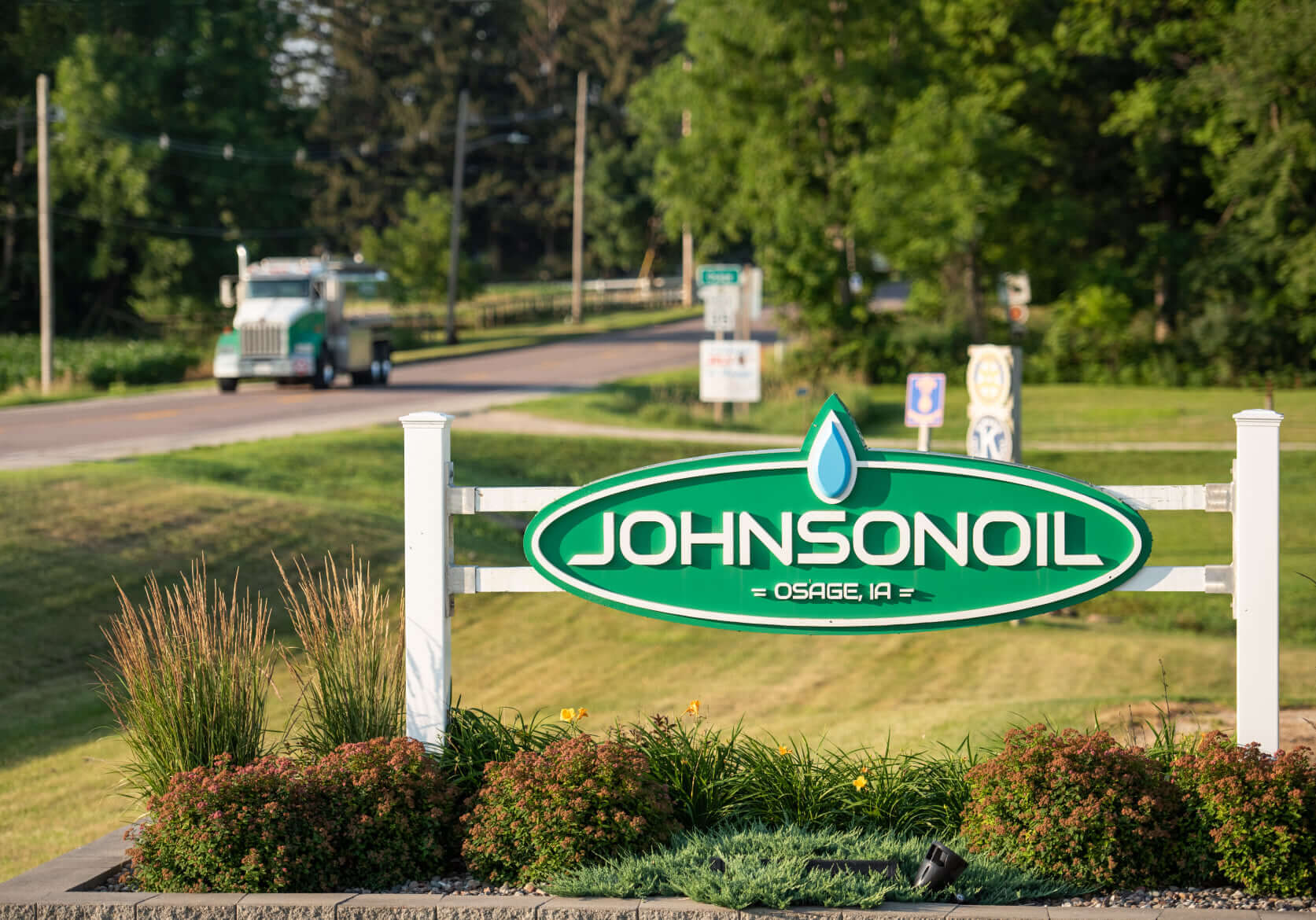 johnson oil